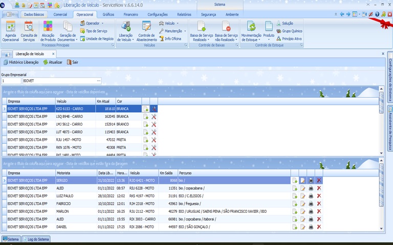 Liberação de Veículos